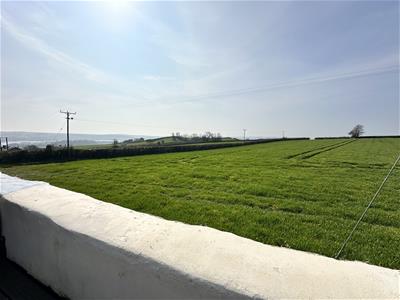 Picture 21